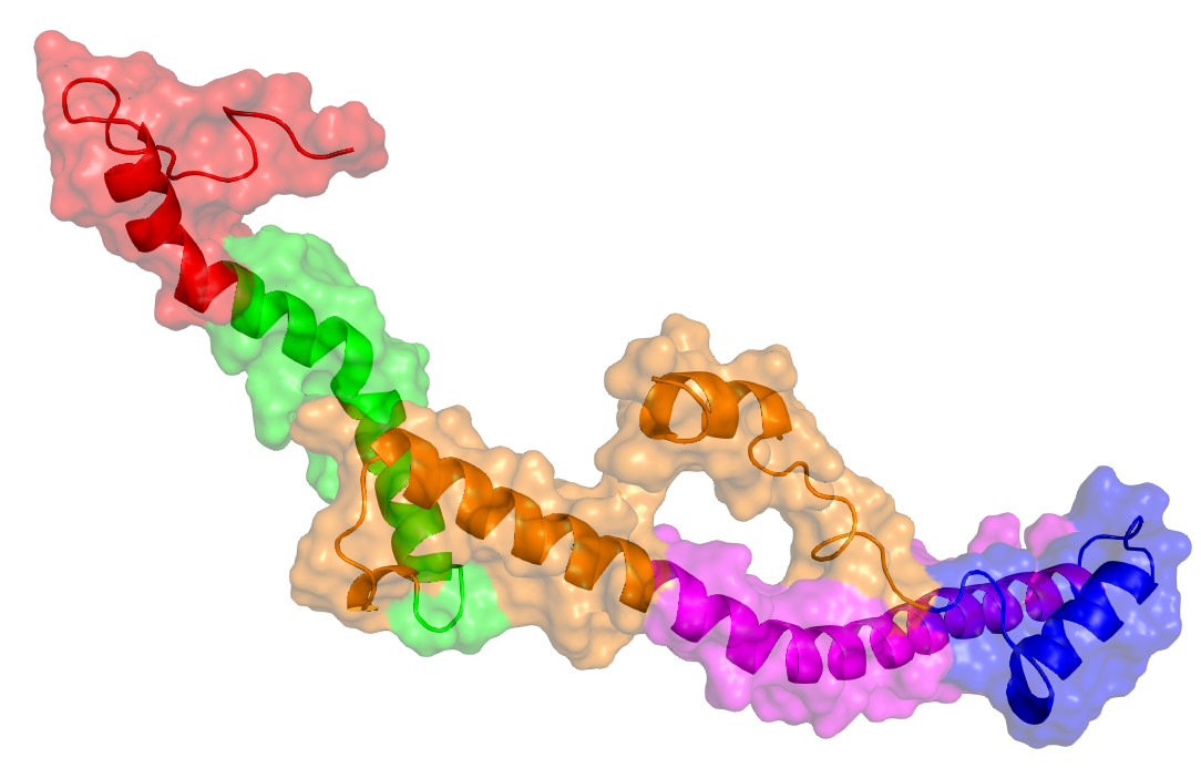 Computational Alchemy III: Diving into Coarse-Grained Molecular Dynamics