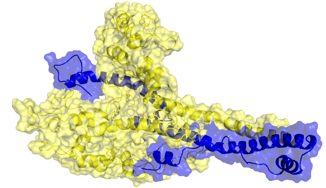 Computational Alchemy II: Diving into All Atom Molecular Dynamics