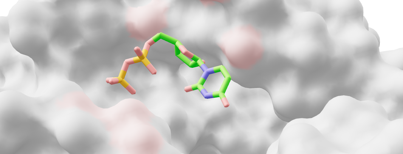 Ligand Representation Challenges in AI scoring